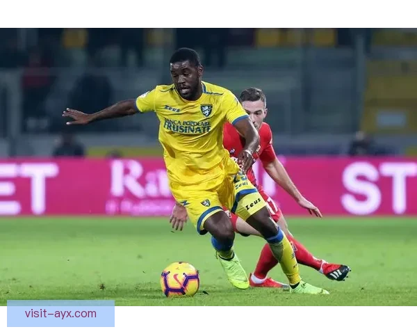 弗罗西诺内俱乐部百年征程与意甲梦想崛起之路全景解析传奇风云录