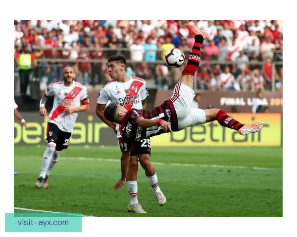 伊普斯维奇足球俱乐部历史发展与未来战略全景解析