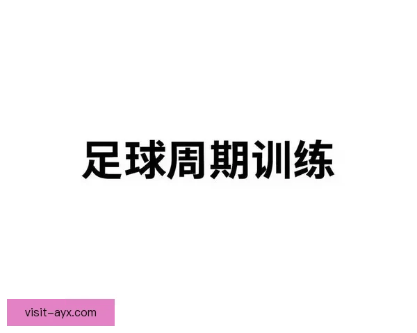足球入门全攻略新手必看技巧与实战训练指南